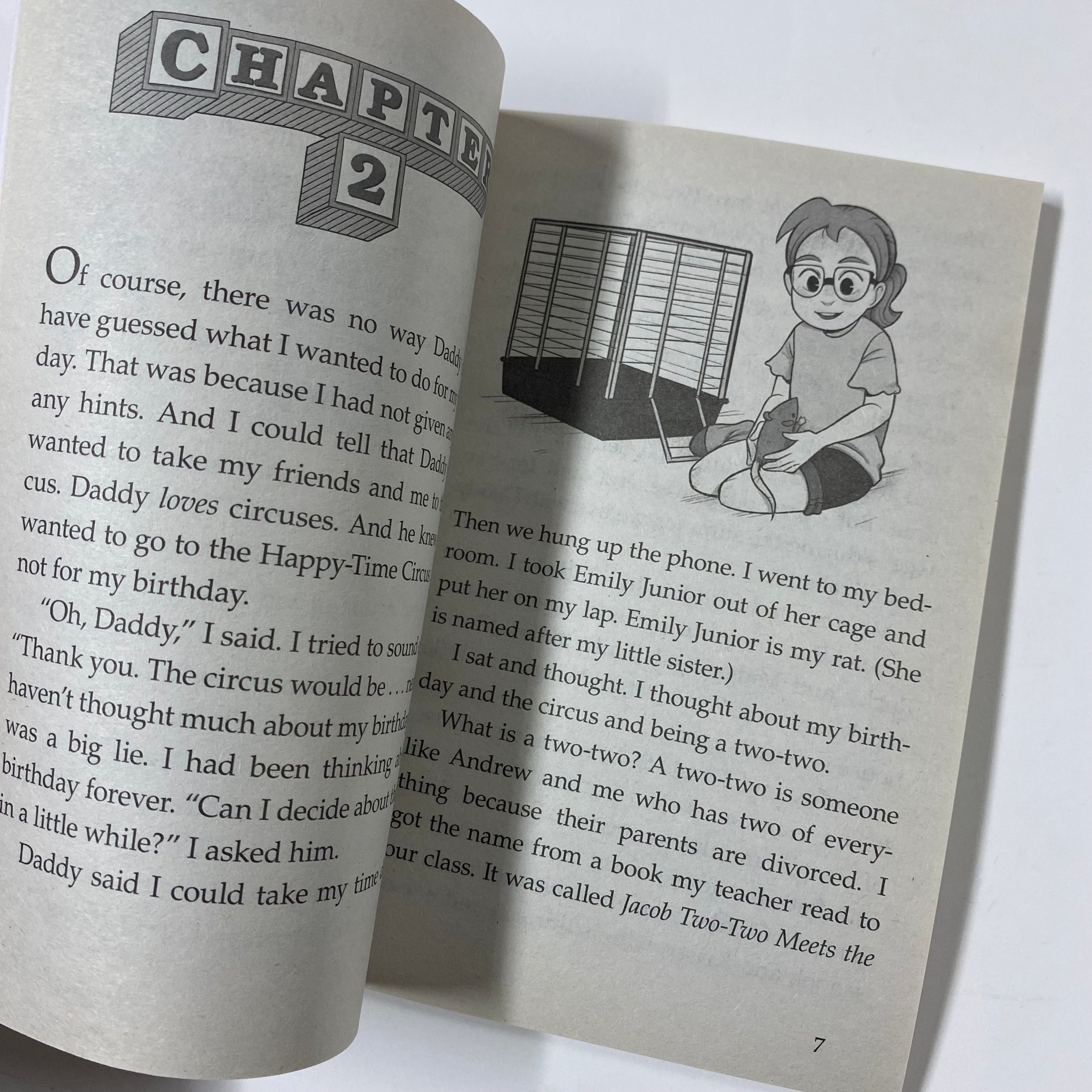 Baby Sitters Little Sister #07 - Little Sister Karen's Birthday