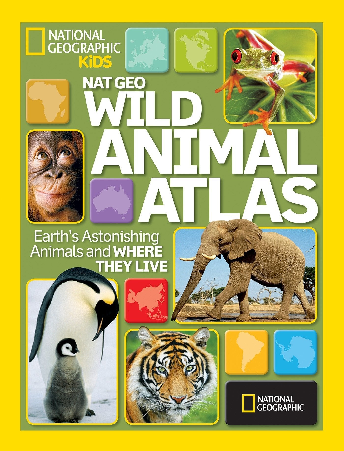 Animal Nat Geo Streaming Geographic Animals Nat Geo Wild Tv Live