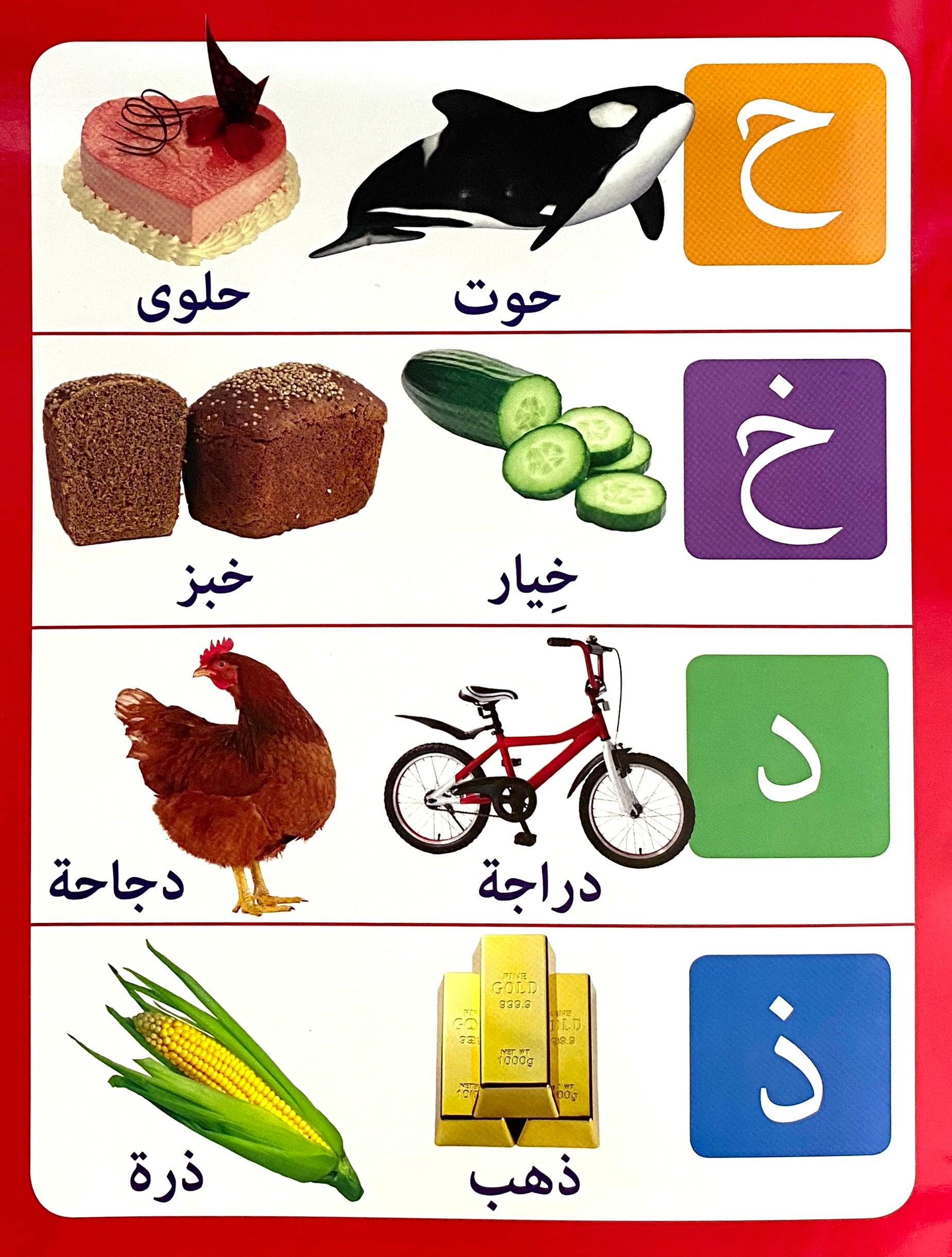 Arabic - Write and Wipe - Words - Spectrawide Bookstore