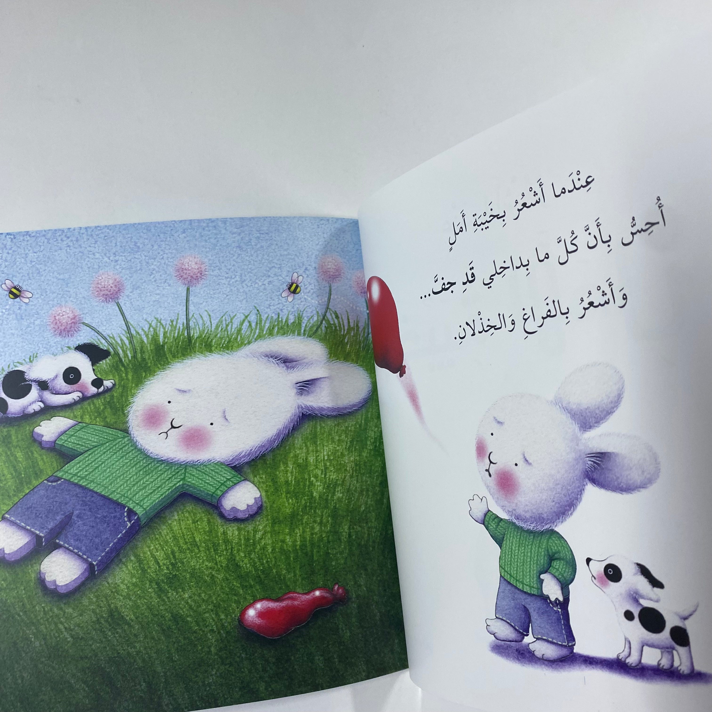 When I Am Feeling Disappointed - سلسلة المشاعر عندما اشعر بخيبة الامل - Spectrawide Bookstore