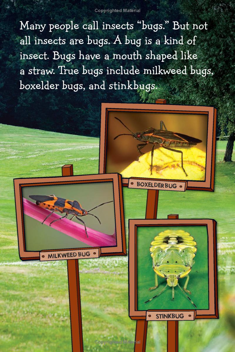 Fly Guy Presents - Insects (Scholastic Reader, Level 2) - يقدم الرجل الطائر - الحشرات (القارئ المدرسي، المستوى 2)