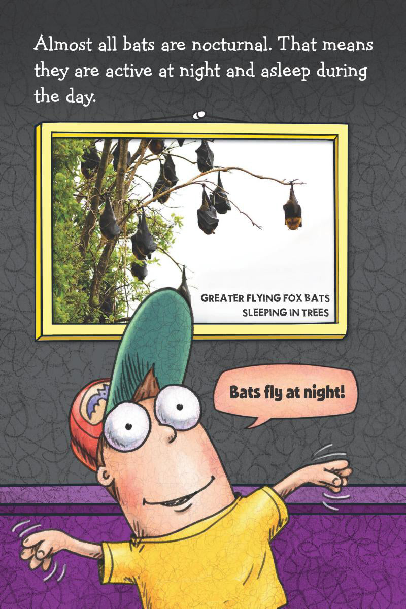 Fly Guy Presents - Bats (Scholastic Reader, Level 2) - يقدم الرجل الطائر - الخفافيش (القارئ المدرسي، المستوى 2)
