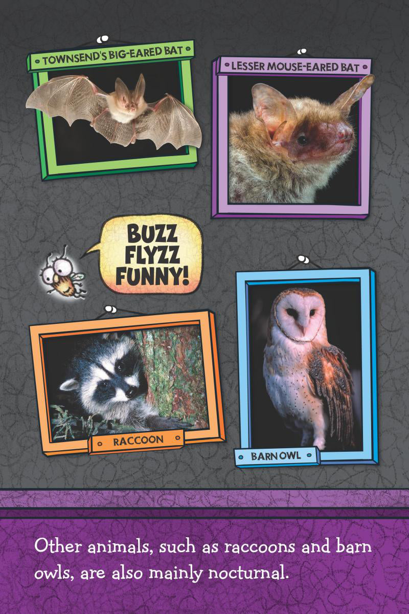 Fly Guy Presents - Bats (Scholastic Reader, Level 2) - يقدم الرجل الطائر - الخفافيش (القارئ المدرسي، المستوى 2)