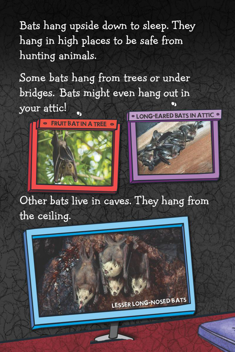 Fly Guy Presents - Bats (Scholastic Reader, Level 2) - يقدم الرجل الطائر - الخفافيش (القارئ المدرسي، المستوى 2)
