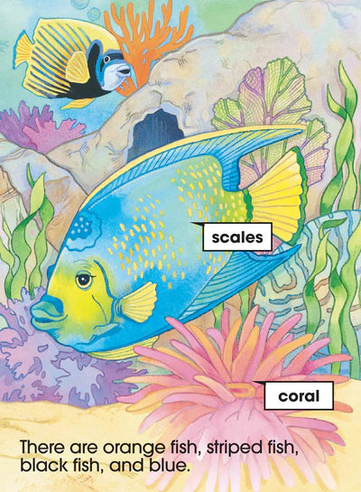 A Start To Read Book - Underwater - Level 1 (Age 4-6)