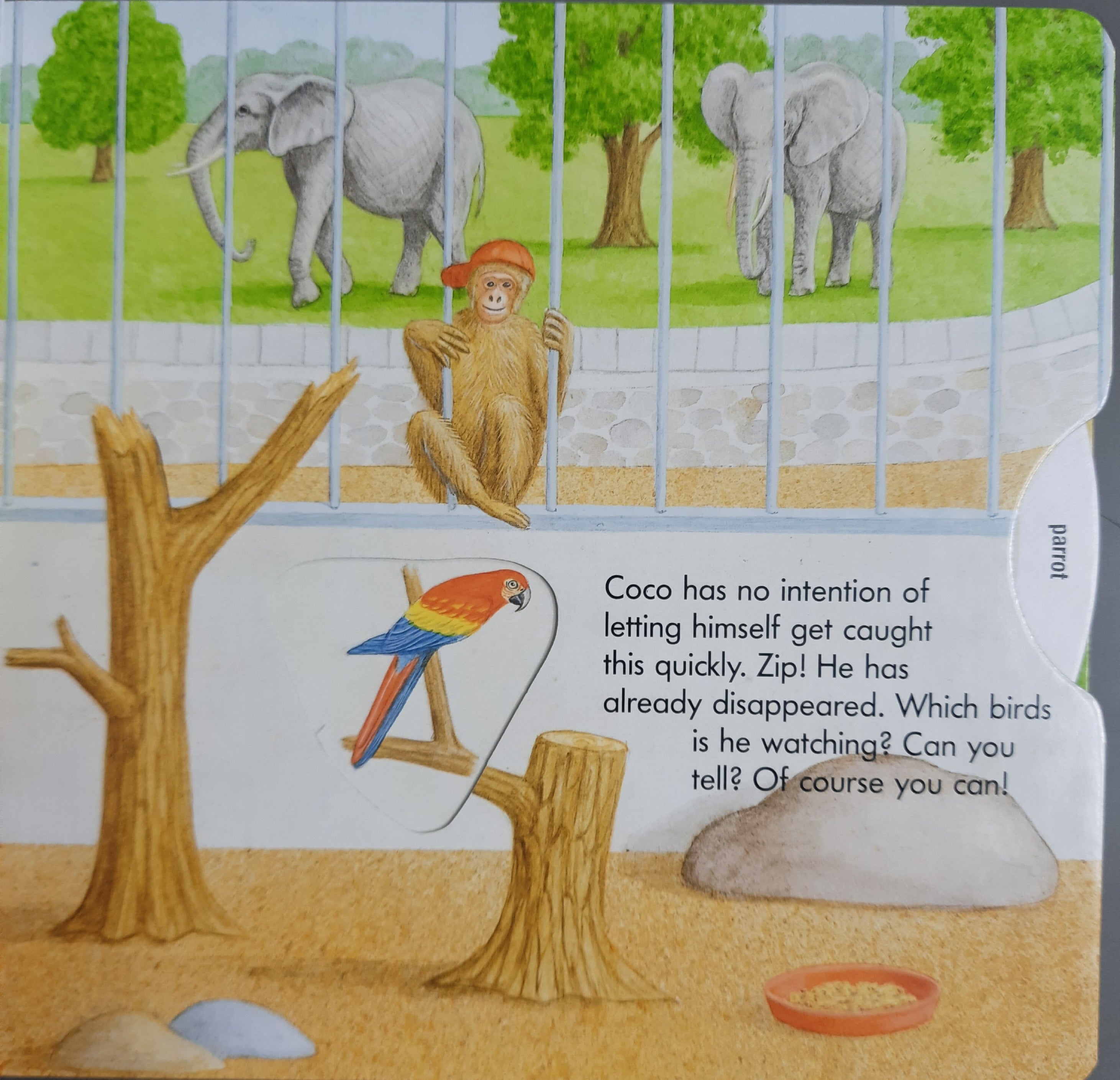 Turn And Learn - At The Zoo - بدوره وتعلم - في حديقة الحيوان