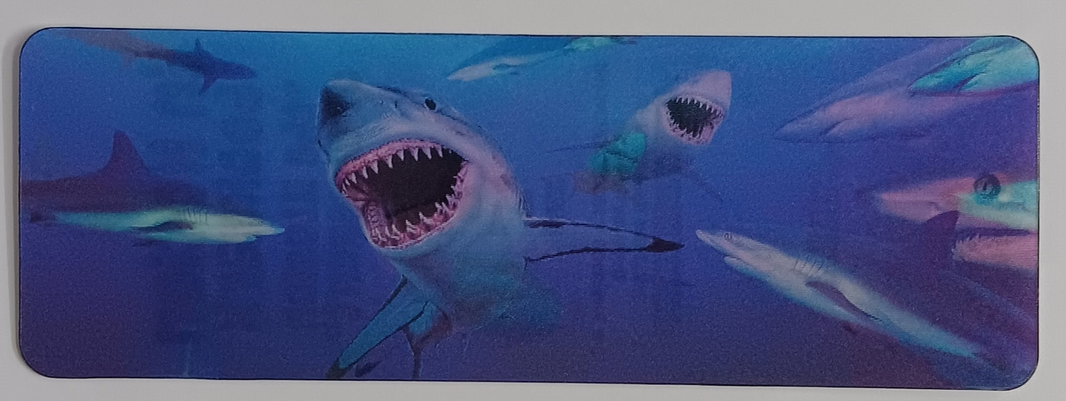 إشارة مرجعية ثلاثية الأبعاد متحركة - سمك القرش