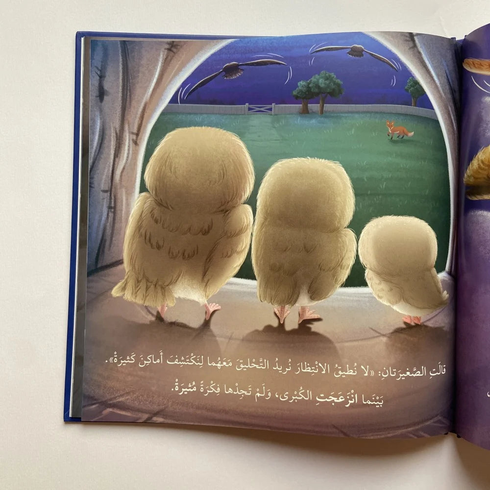 حين تخاف البومة - أنا ومشاعري - When the owl is afraid: Me and My Feelings