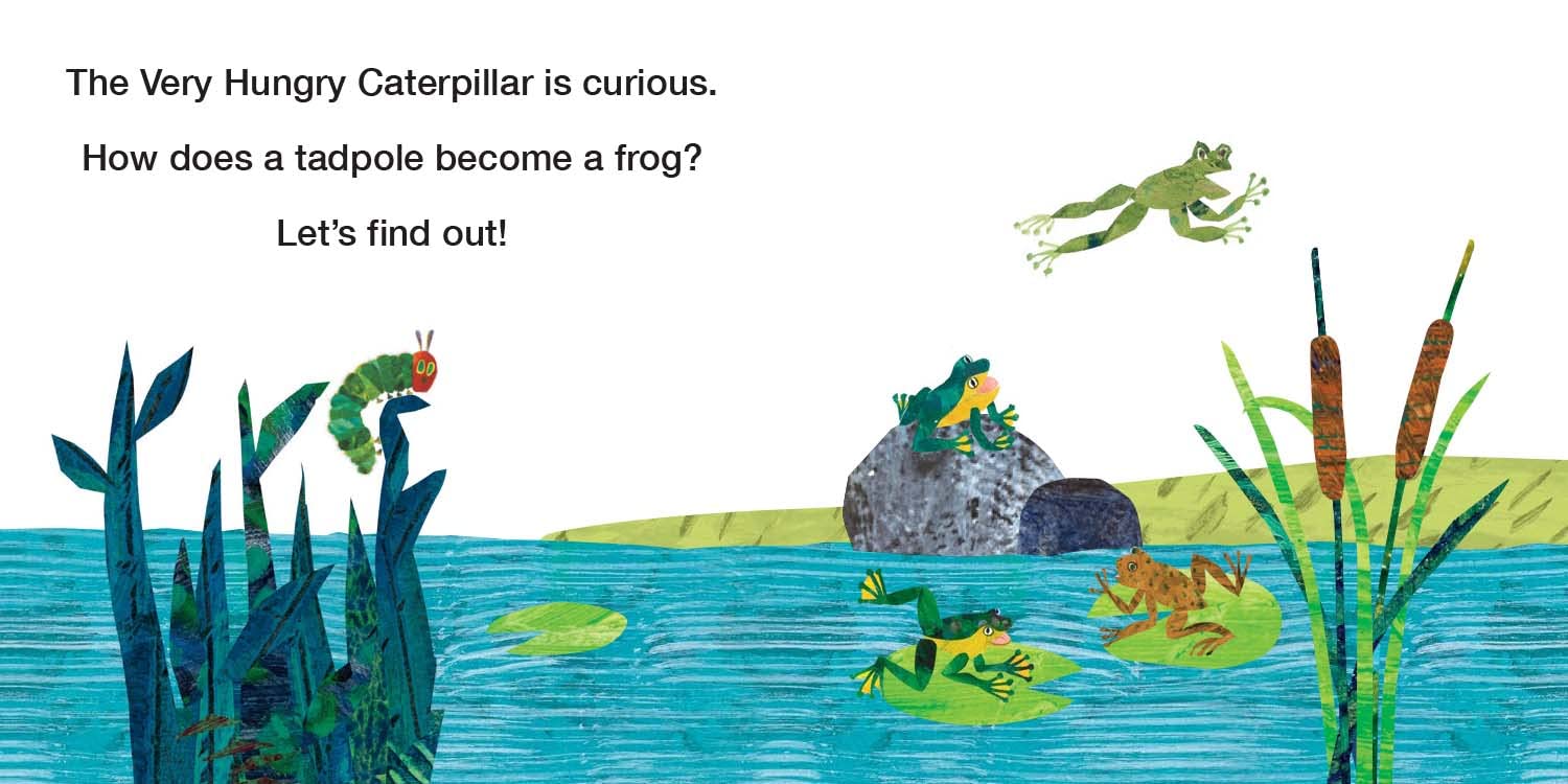 Eric Carle: How Does A Tadpole Grow? - Life Cycles with The Very Hungry Caterpillar - Board Book - إريك كارل: كيف ينمو الشرغوف؟ - دورات الحياة مع اليرقة الجائعة جدًا - كتاب مقوى