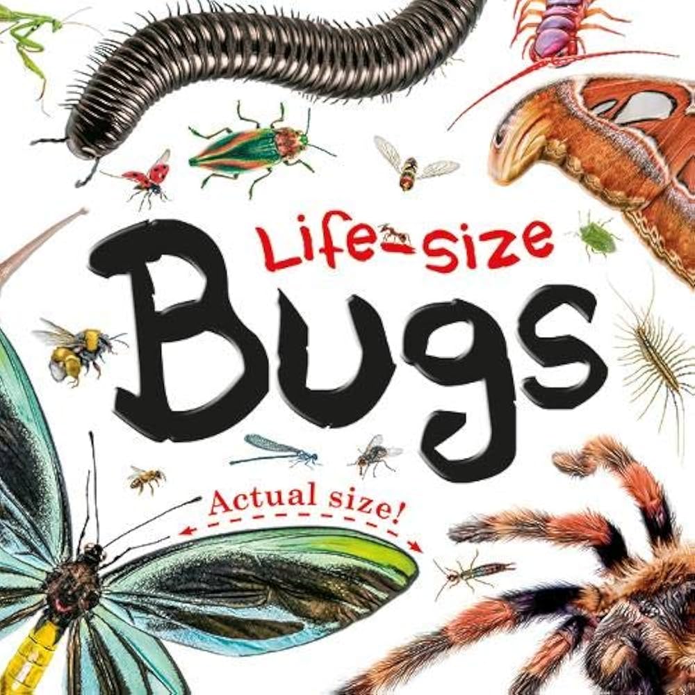 Life-Size - Bugs - بالحجم الطبيعي - البق