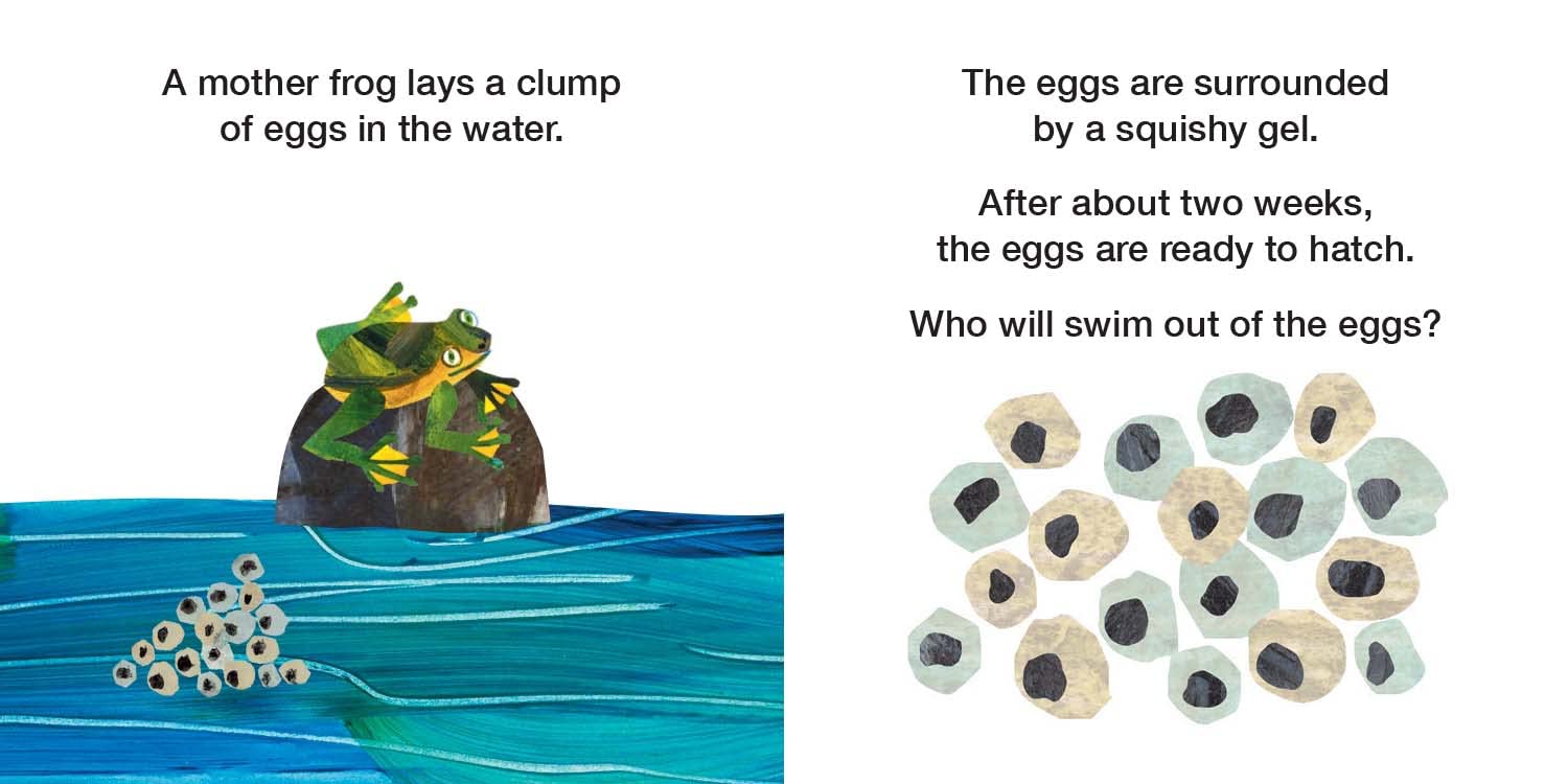 Eric Carle: How Does A Tadpole Grow? - Life Cycles with The Very Hungry Caterpillar - Board Book - إريك كارل: كيف ينمو الشرغوف؟ - دورات الحياة مع اليرقة الجائعة جدًا - كتاب مقوى