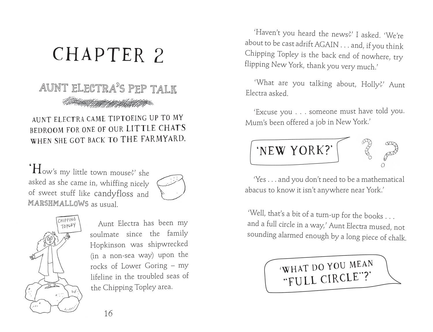 The Super-Secret Diary of Holly Hopkinson #3 - Just A Touch Of Utter Chaos! - Spectrawide Bookstore
