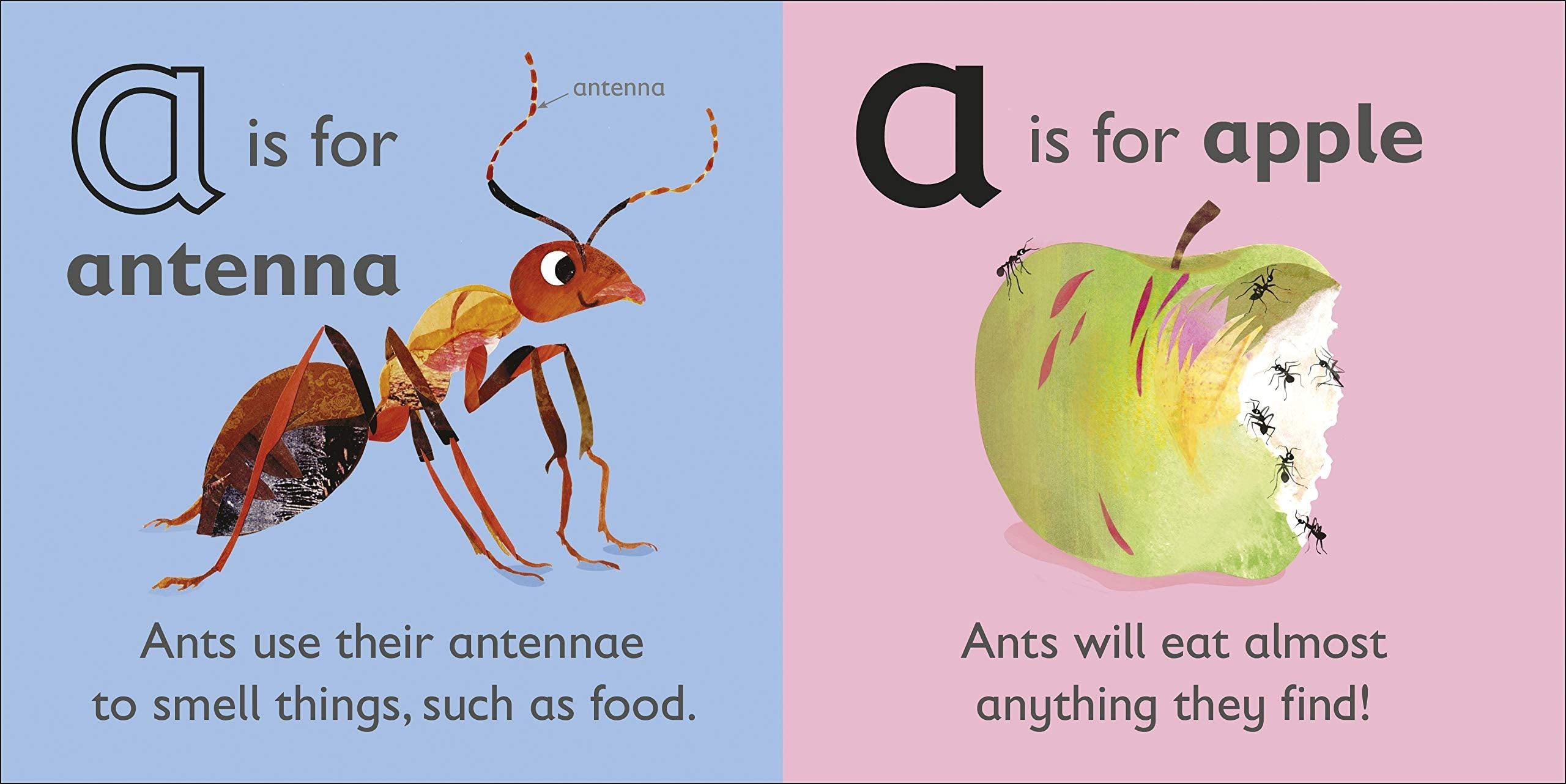 DK Alphabet Book - A is for Ant - Board Book - Spectrawide Bookstore