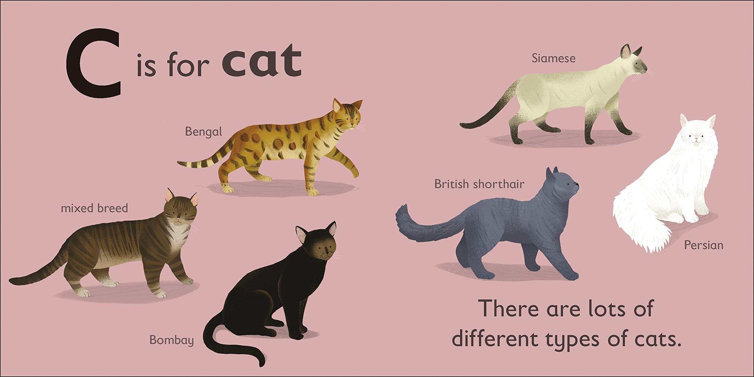 DK Alphabet Book - C is for Cat - Board Book - Spectrawide Bookstore