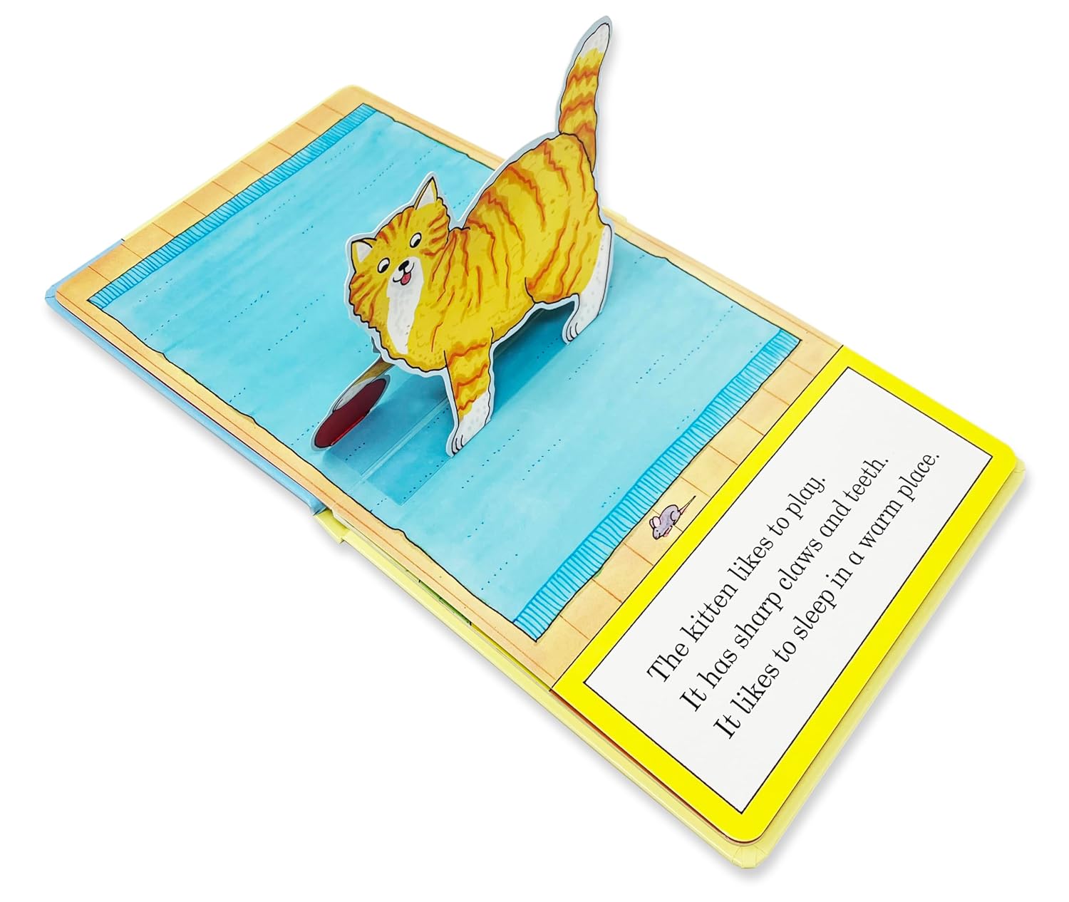 My Stand Up Baby Animals: A Pop-Up Animal Book - صغار الحيوانات ثلاثية الأبعاد: كتاب منبثق للحيوانات