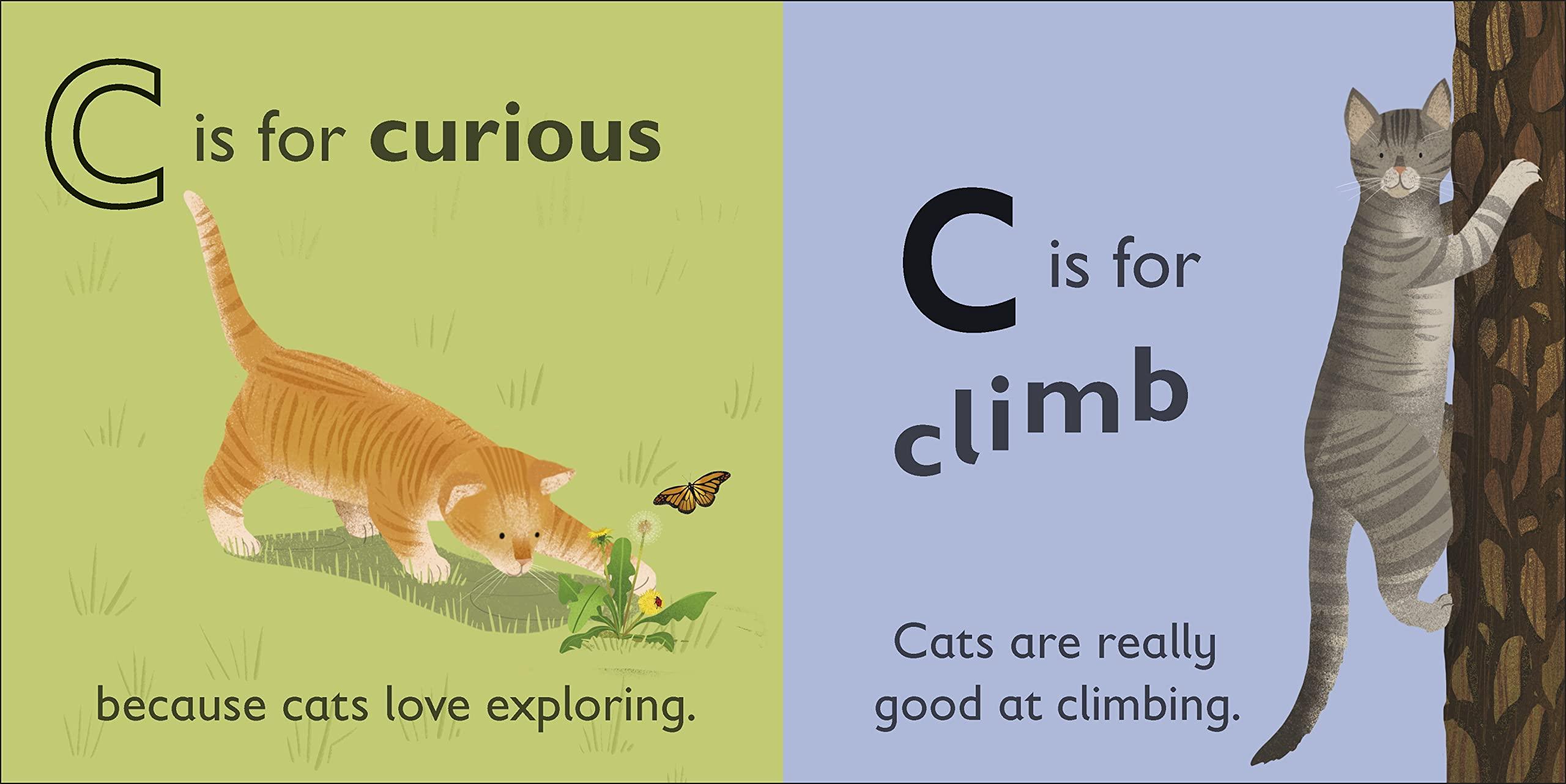 DK Alphabet Book - C is for Cat - Board Book - Spectrawide Bookstore