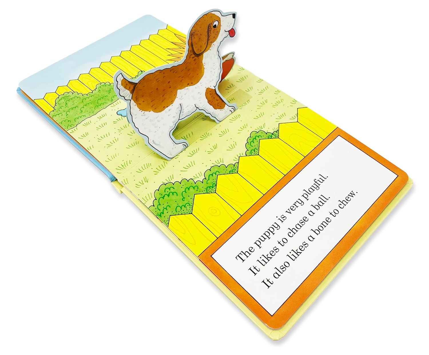 My Stand Up Baby Animals: A Pop-Up Animal Book - صغار الحيوانات ثلاثية الأبعاد: كتاب منبثق للحيوانات