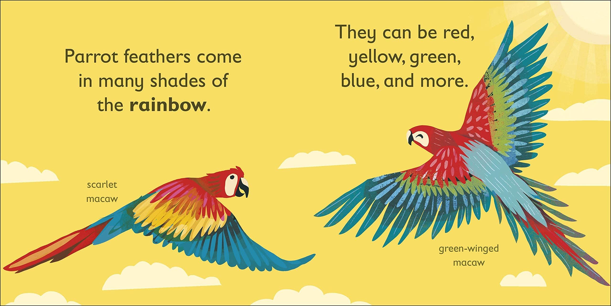 DK Alphabet Book - P is for Parrot - Board Book - Spectrawide Bookstore