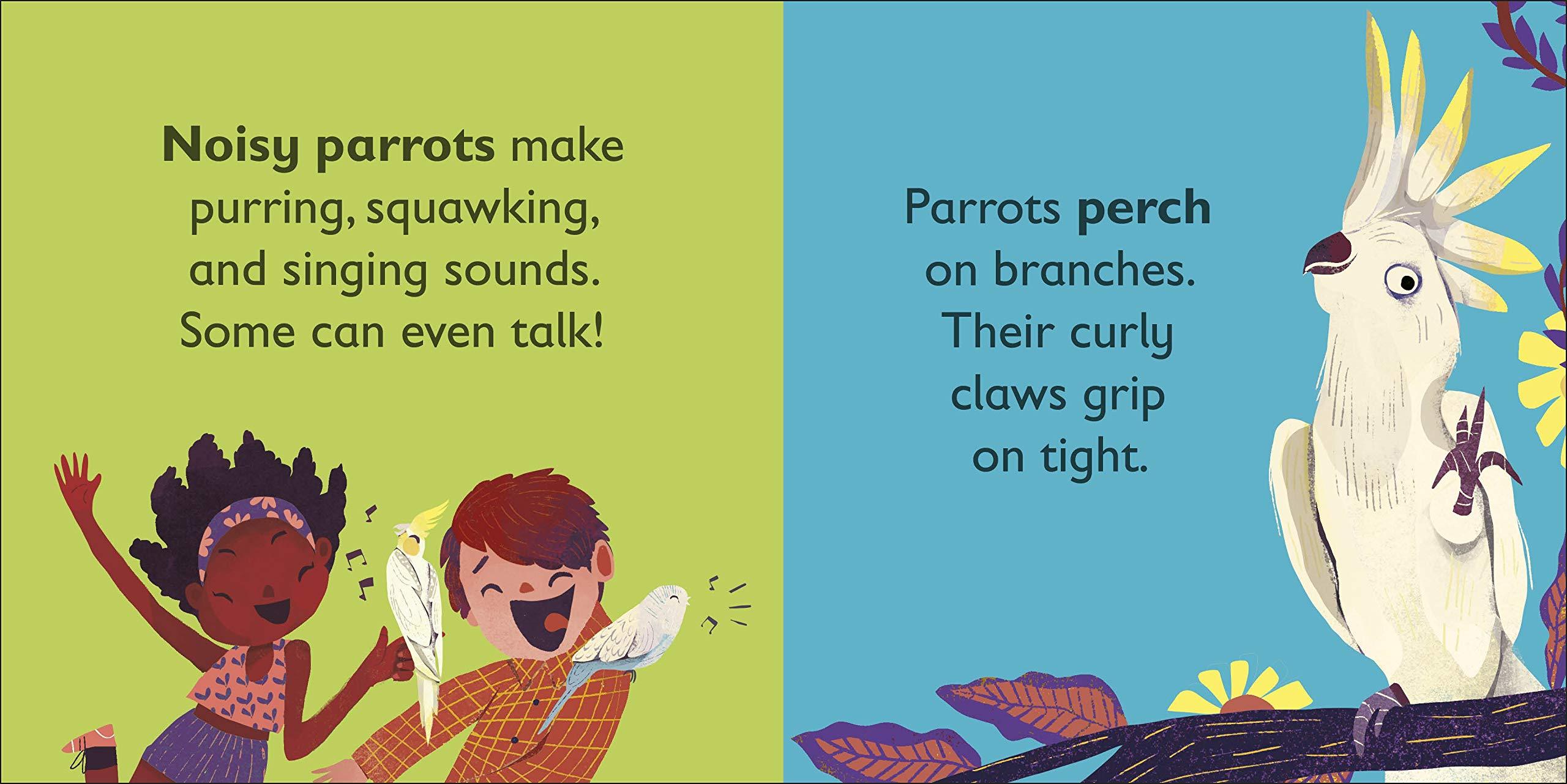 DK Alphabet Book - P is for Parrot - Board Book - Spectrawide Bookstore