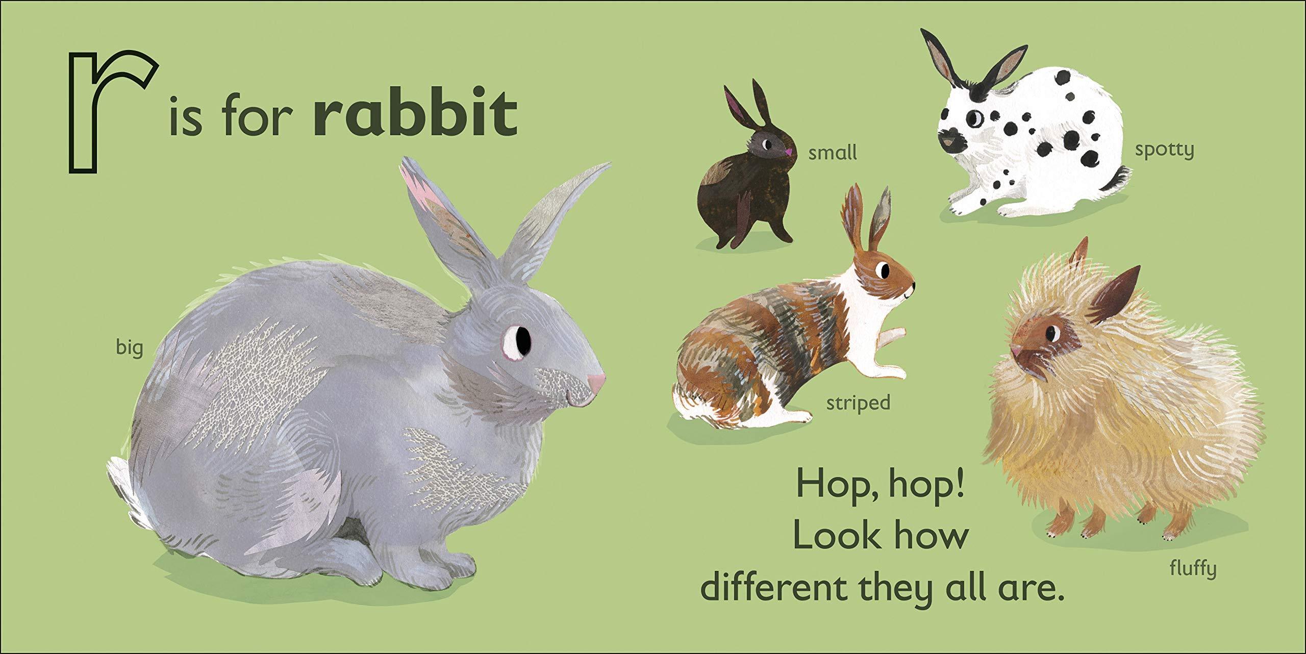 DK Alphabet Book - R is for Rabbit - Board Book - Spectrawide Bookstore