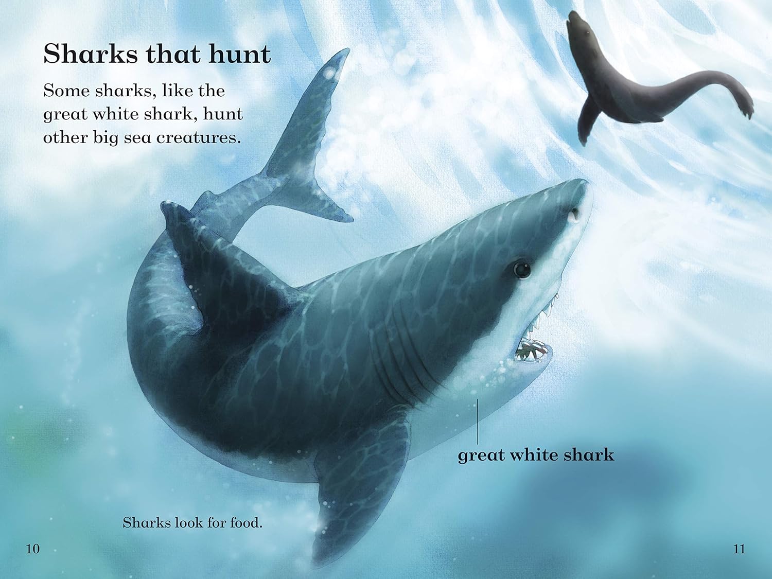 Read it Yourself with Ladybird Level 3 - Sharks - اقرأها بنفسك مع الدعسوقة المستوى 3 - أسماك القرش