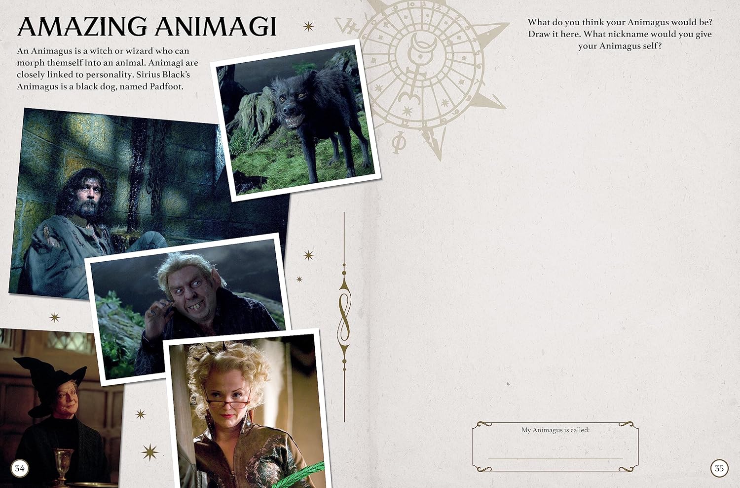 Hogwarts - A Cinematic Yearbook 20th Anniversary Edition (Harry Potter)