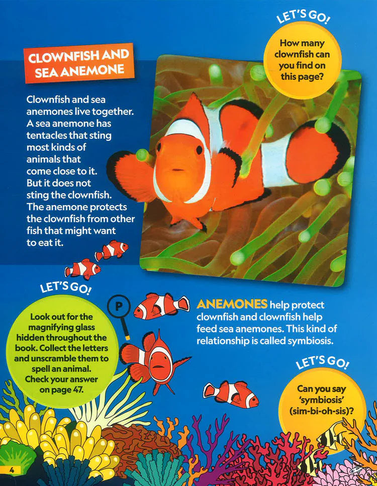 National Geographic Kids: Find It Explore It Ocean - ناشيونال جيوغرافيك كيدز: أوجدها استكشفها المحيط