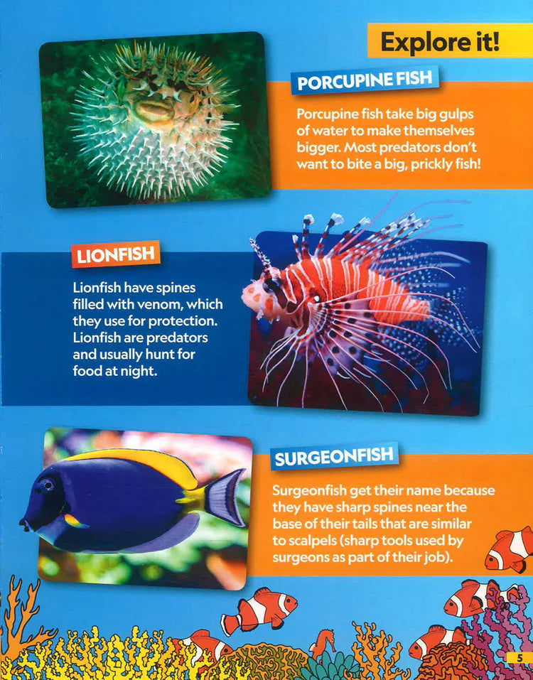 National Geographic Kids: Find It Explore It Ocean - ناشيونال جيوغرافيك كيدز: أوجدها استكشفها المحيط