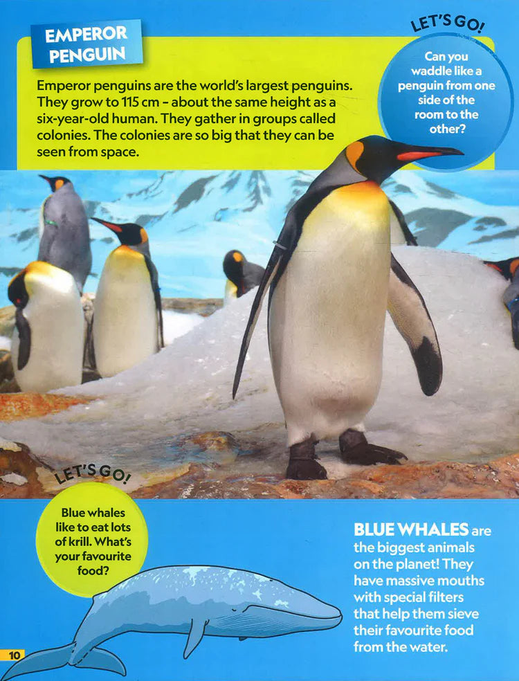 National Geographic Kids: Find It Explore It Ocean - ناشيونال جيوغرافيك كيدز: أوجدها استكشفها المحيط