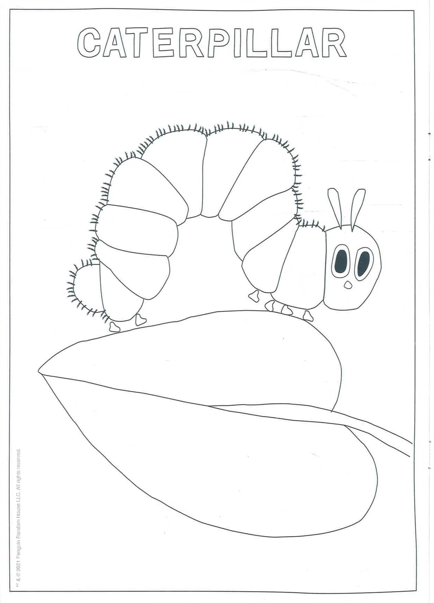 The Very Hungry Caterpillar's Bugs Colouring Book - كتاب تلوين حشرات اليرقة الجائعة جدًا