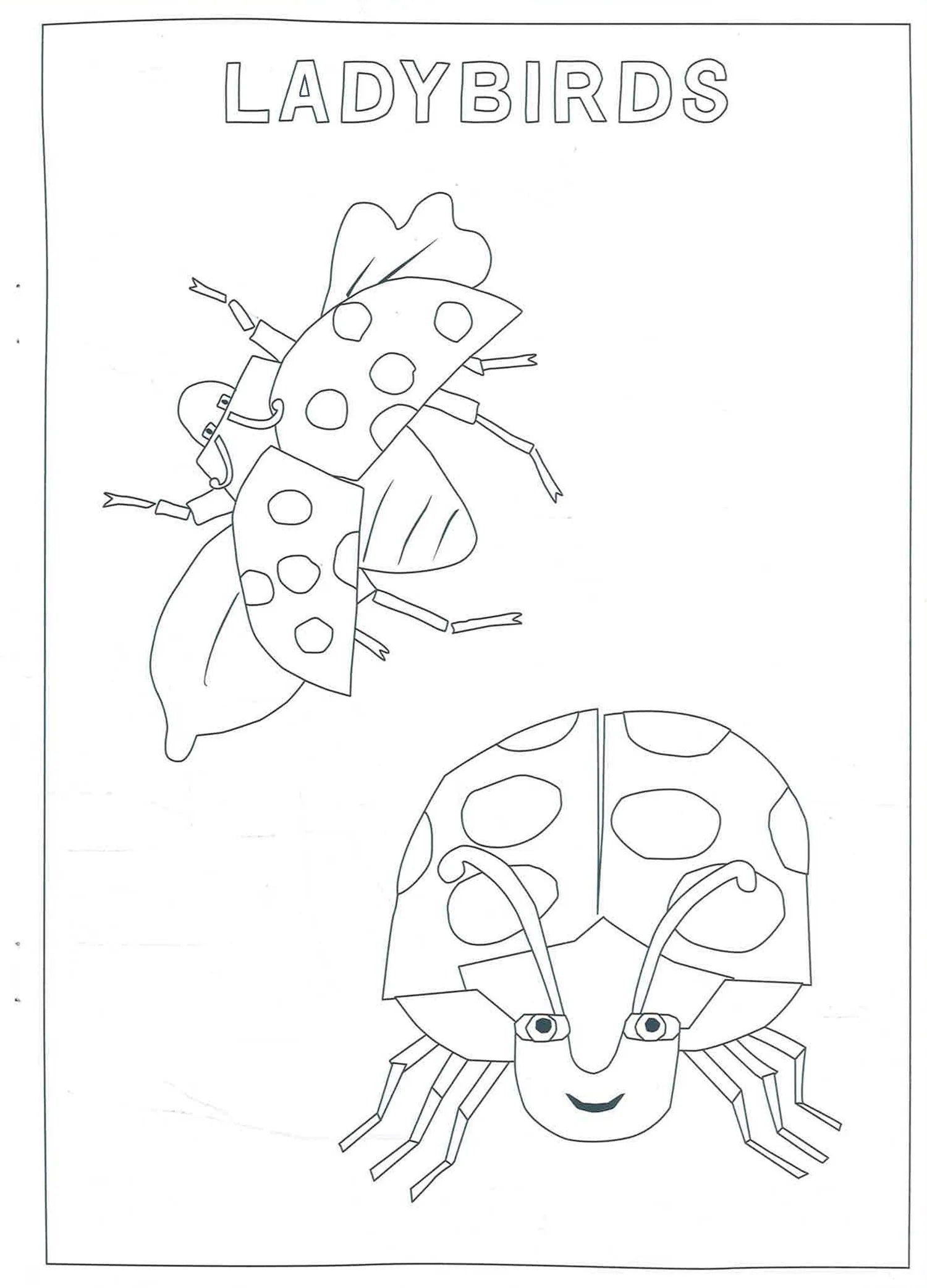 The Very Hungry Caterpillar's Bugs Colouring Book - كتاب تلوين حشرات اليرقة الجائعة جدًا
