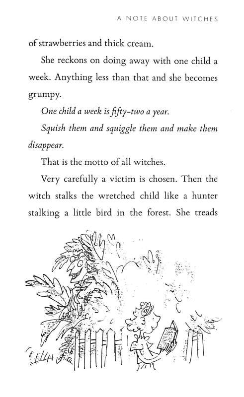 Roald Dahl The Witches - Spectrawide Bookstore