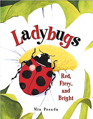 Ladybugs -  Red, Fiery, and Bright