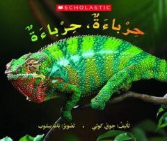 Chameleon, chameleon