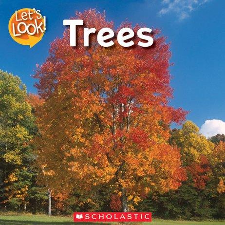 Let's Look! Trees