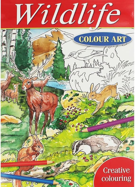 Wildlife Colour Art