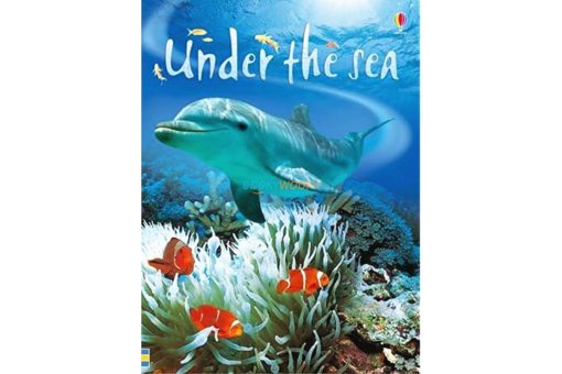 Usborne Beginners - Under the Sea