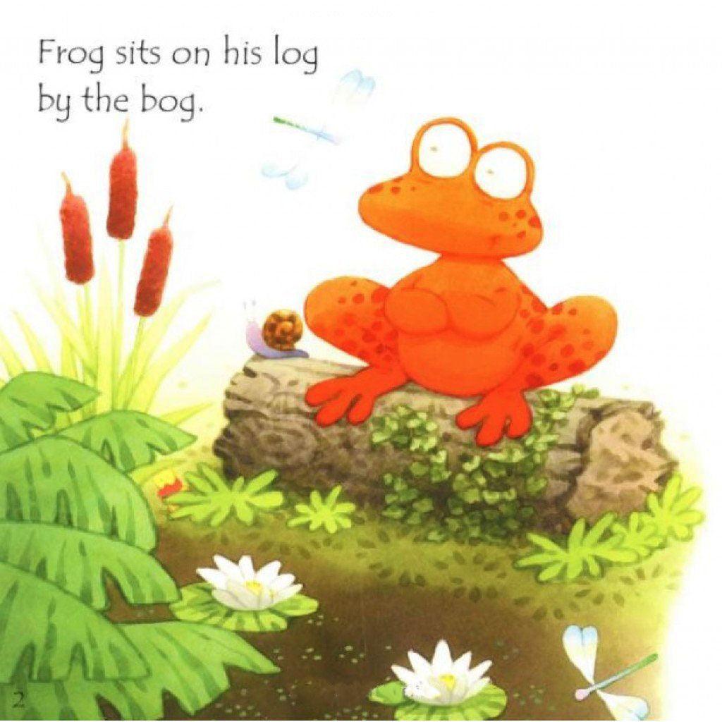 Usborne Phonics Readers - Frog On A Log - Spectrawide Bookstore