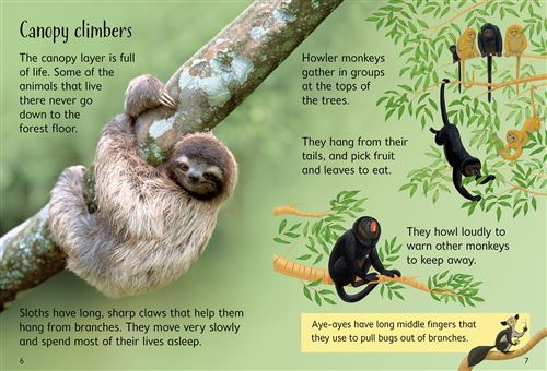 Usborne - Rainforests - أوسبورن - الغابات المطيرة