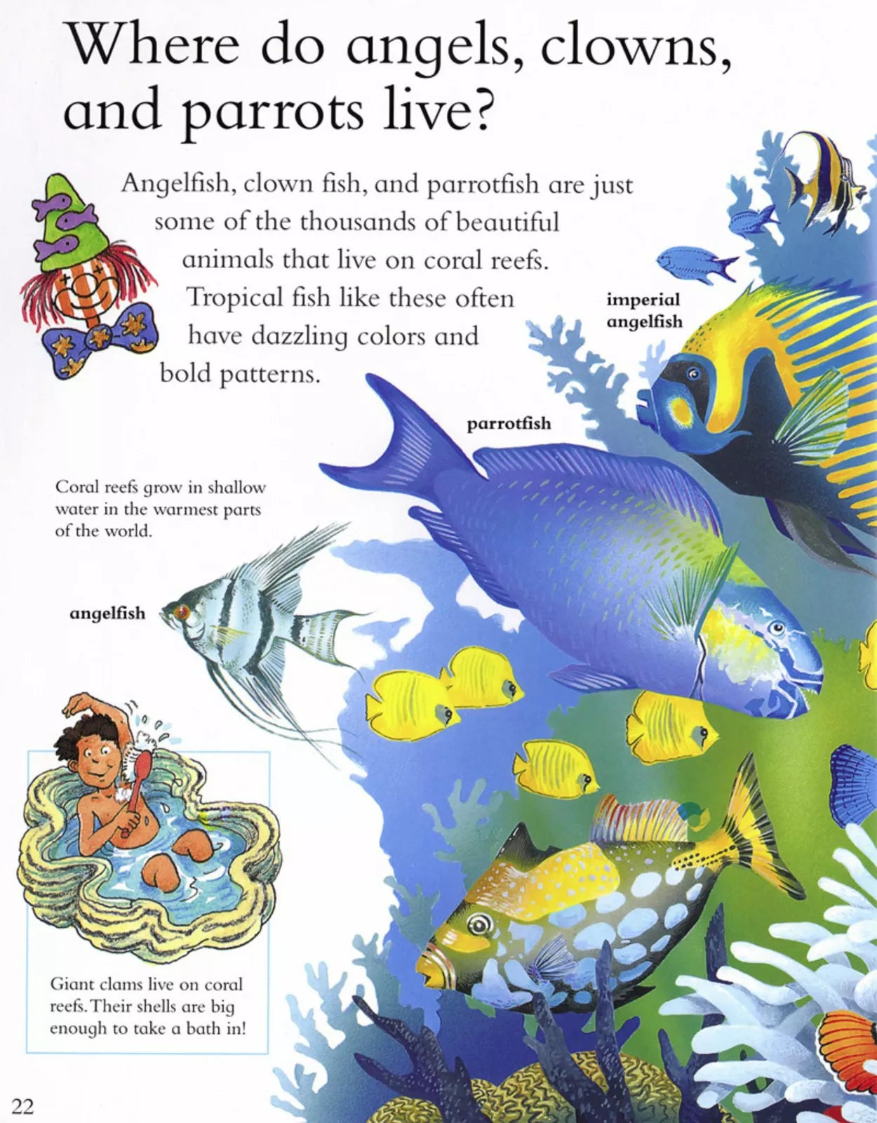 I Wonder Why - The Sea Is Salty - أتساءل لماذا - تهب الرياح وأسئلة أخرى حول كوكبنا