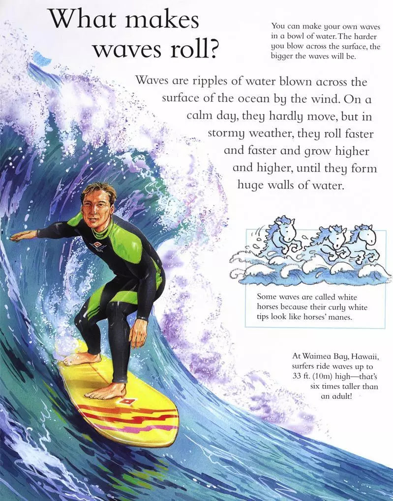 I Wonder Why - The Sea Is Salty - أتساءل لماذا - تهب الرياح وأسئلة أخرى حول كوكبنا