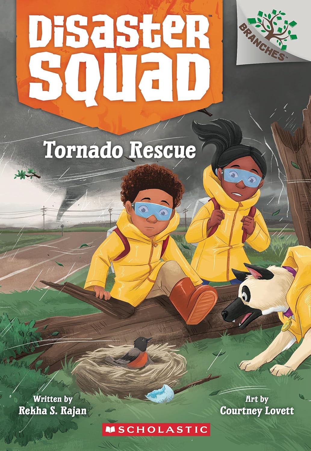 Disaster Squad #04 - Tornado Rescue - A Branches Book