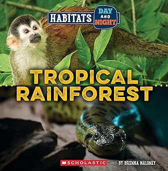 Wild World - Habitats Day and Night - Tropical Rainforest - العالم البري - الموائل ليلاً ونهارًا - الغابات المطيرة الاستوائية