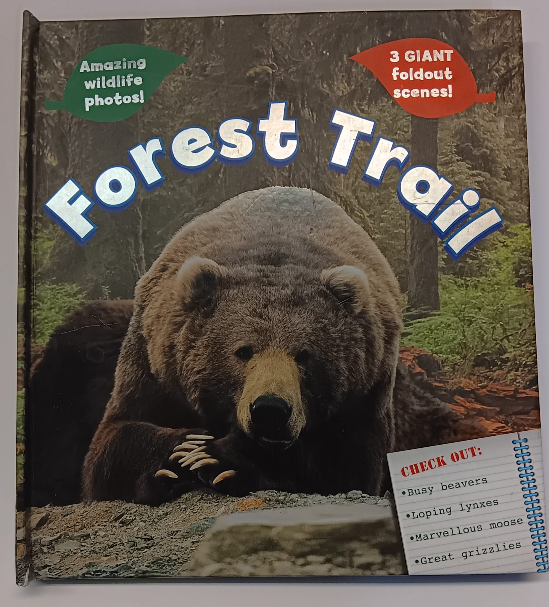 Amazing Wildlife Photos - Forest Trail