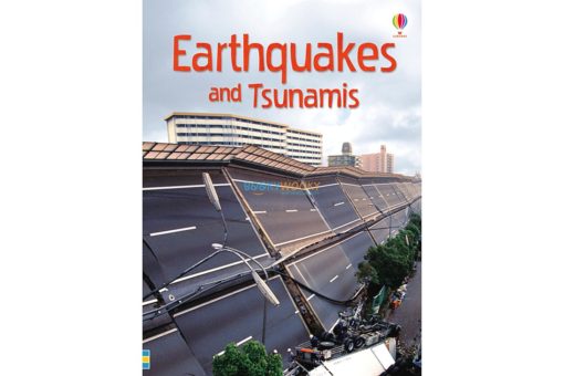 Usborne Beginners - Earthquakes and Tsunamis