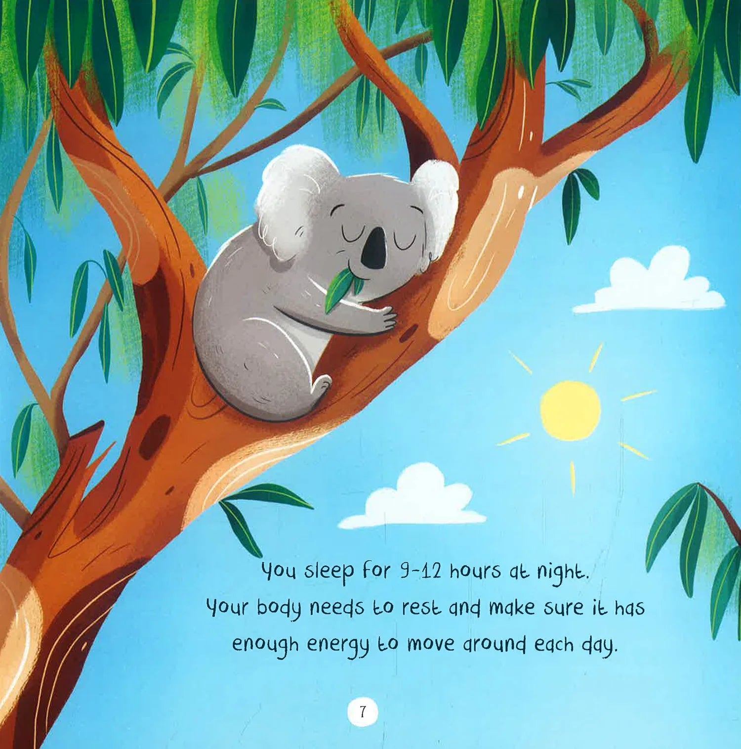 Healthy Habits - Koala’s Guide to Sleep