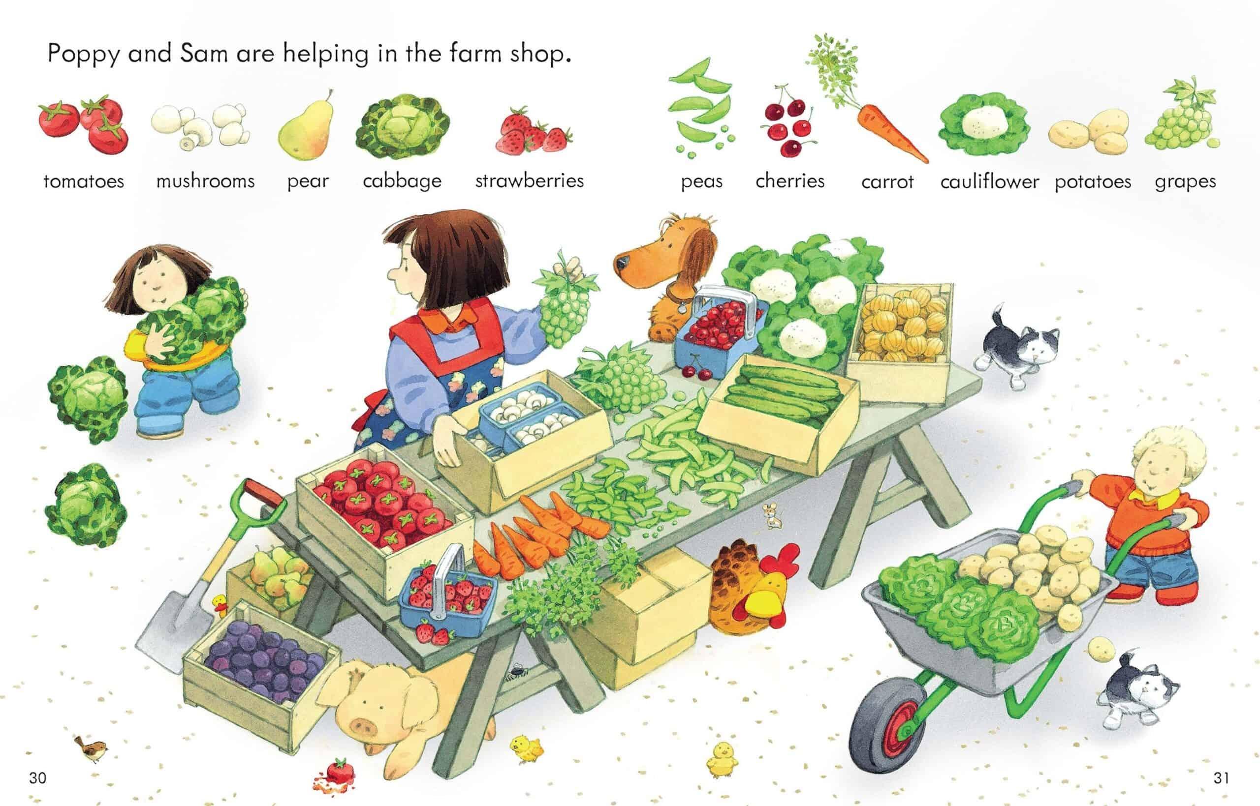 Usborne Farmyard Tales - Poppy and Sam's First Word Book - Spectrawide Bookstore