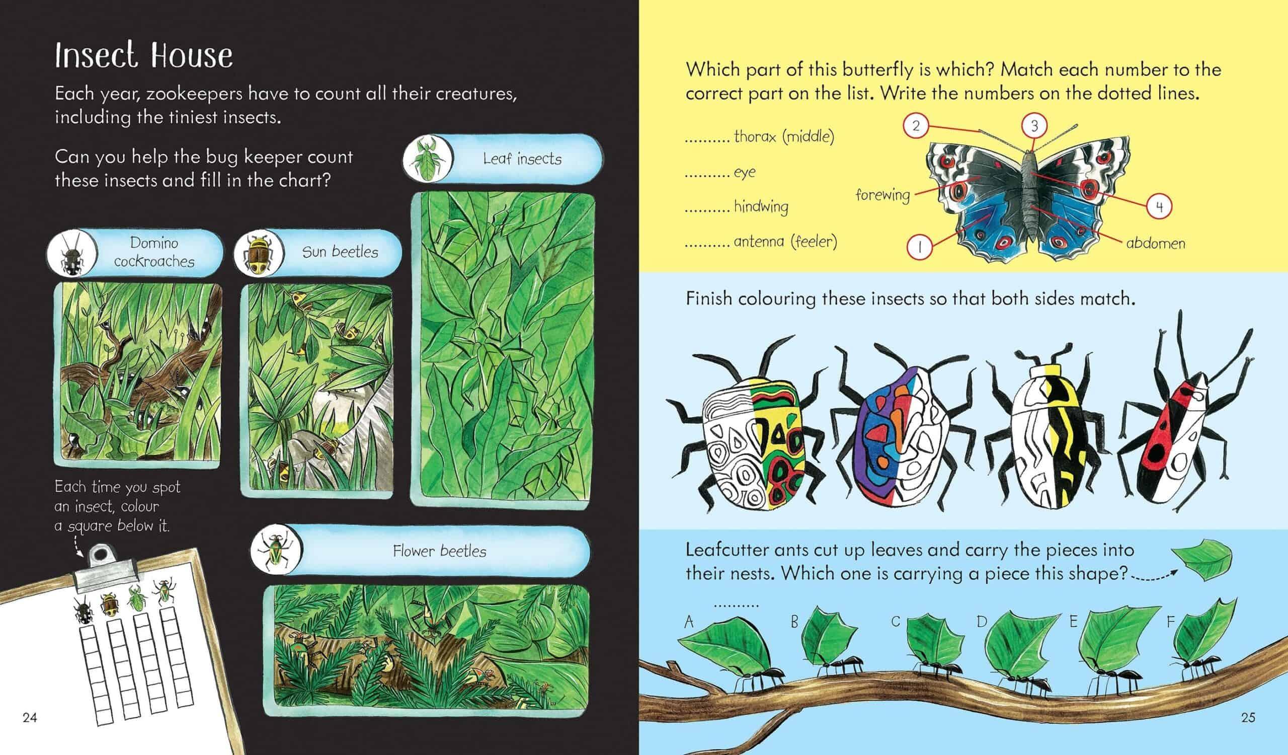 The Usborne Little Children's - ZOO Activity Book - Spectrawide Bookstore