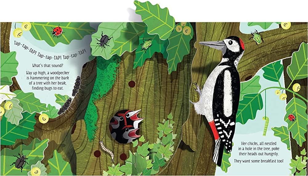 Usborne - Pop-up - Nature - Spectrawide Bookstore