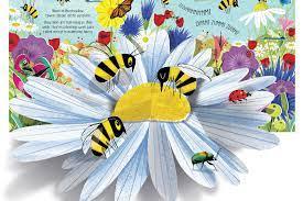 Usborne - Pop-up - Nature - Spectrawide Bookstore